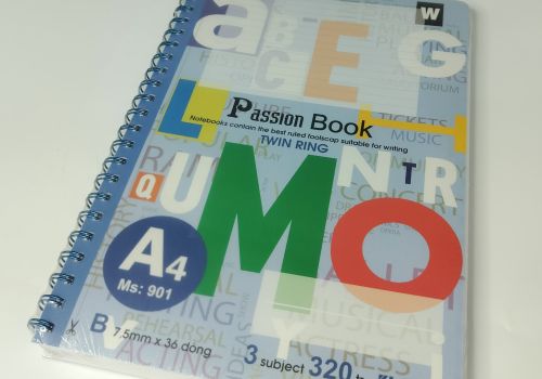 Sổ lo xo kép 320tr 901