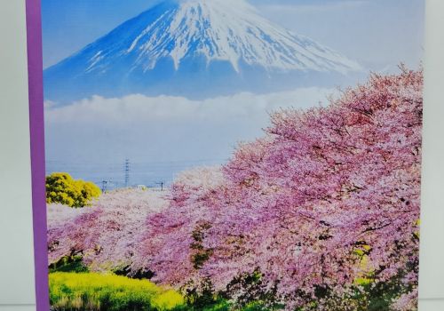  Vở Kẻ Ngang Pupil bốn mùa 120tr 