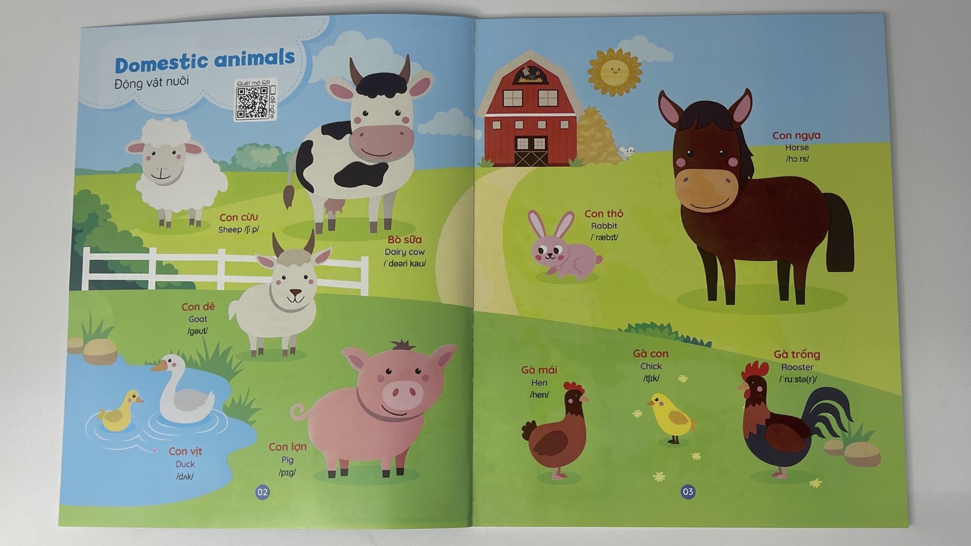 z4330668669321_84c65341d4757469406742fca9c9655e