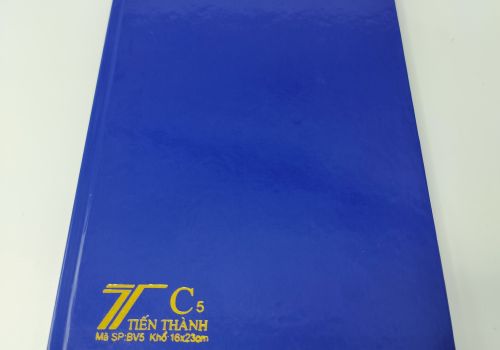 sổ bìa vân 5 tập to BV5 300tr