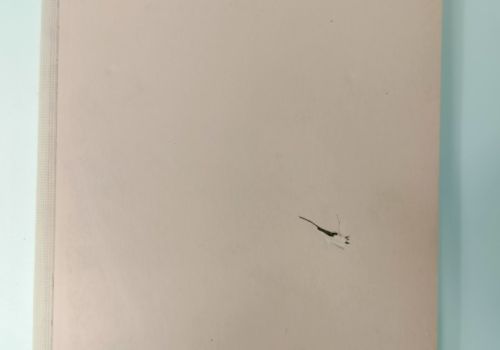 Vở Dot Gird B5 200tr Klong - MS839